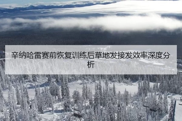 xin-na-ha-lei-sai-qian-hui-fu-xun-lian-hou-cao-di-fa-jie-fa-xiao-lv-shen-du-fen-xi-2-437.jpg